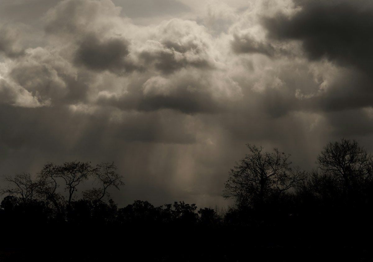 Rain shafts falling from a dark sky over a treeline