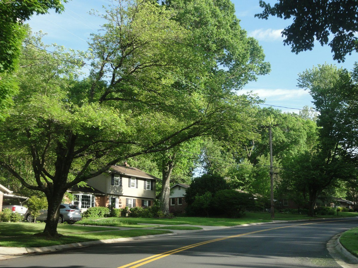A quiet residential street lined with leafy trees and two-story homes