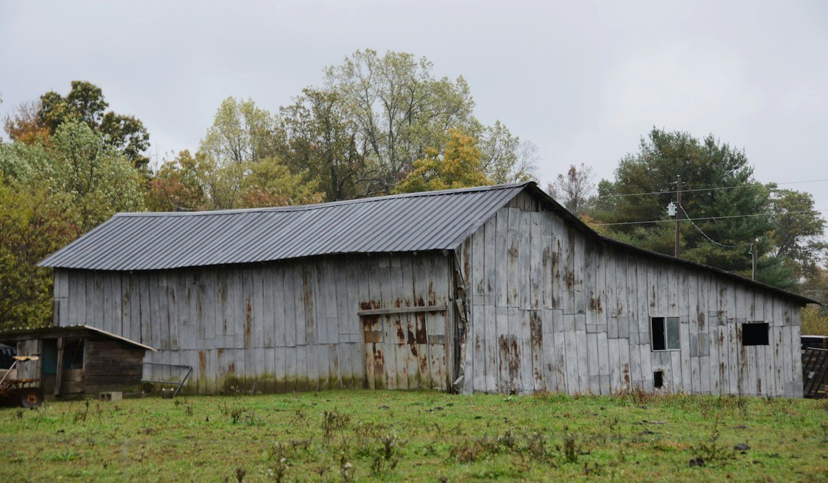 A weathered wooden barn with a metal roof at the edge of a field